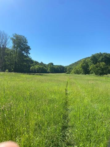 27333 Deep River Road Lanesboro MN 55949