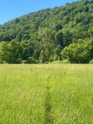 27333 Deep River Road Lanesboro MN 55949