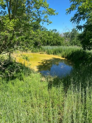 27333 Deep River Road Lanesboro MN 55949