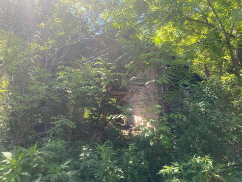 27333 Deep River Road Lanesboro MN 55949