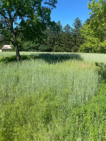 27333 Deep River Road Lanesboro MN 55949