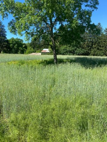 27333 Deep River Road Lanesboro MN 55949
