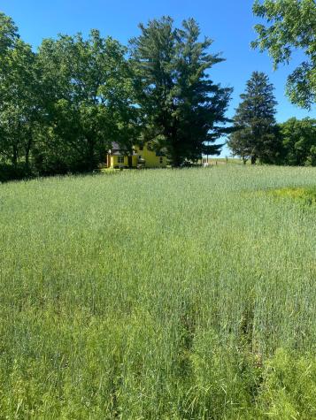 27333 Deep River Road Lanesboro MN 55949