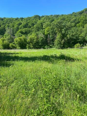 27333 Deep River Road Lanesboro MN 55949
