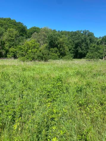 27333 Deep River Road Lanesboro MN 55949