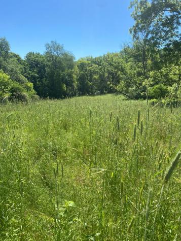 27333 Deep River Road Lanesboro MN 55949