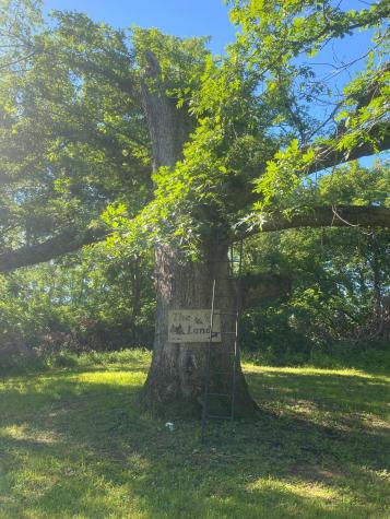 27333 Deep River Road Lanesboro MN 55949