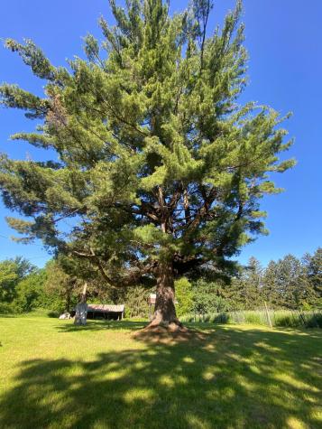 27333 Deep River Road Lanesboro MN 55949