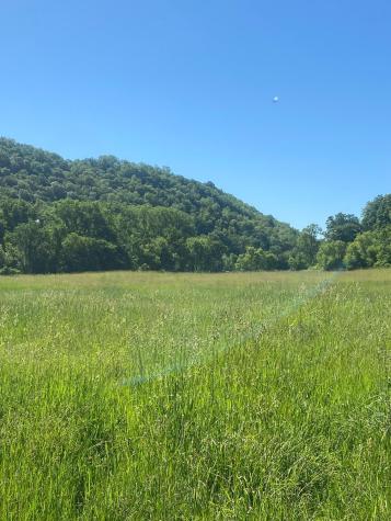 27333 Deep River Road Lanesboro MN 55949