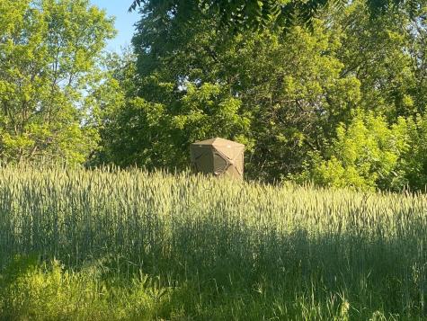 27333 Deep River Road Lanesboro MN 55949