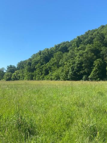 27333 Deep River Road Lanesboro MN 55949