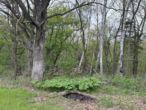 27333 Deep River Road Lanesboro MN 55949
