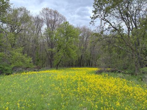27333 Deep River Road Lanesboro MN 55949