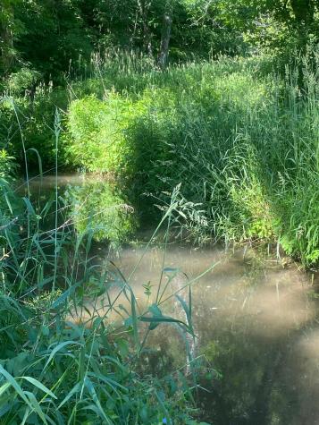 27333 Deep River Road Lanesboro MN 55949