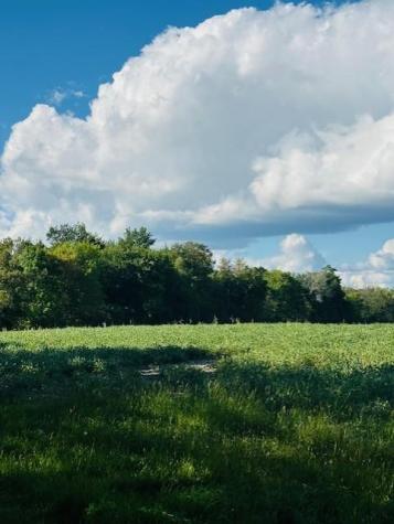 8XXX Rushseba Trail Rush City MN 55069