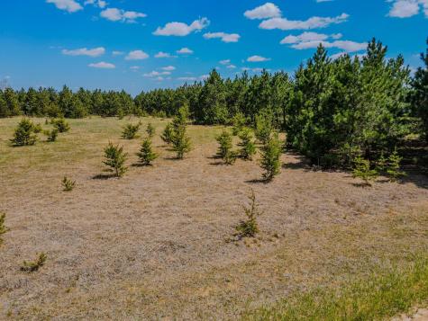 Tbd 129th Avenue Menahga MN 56464