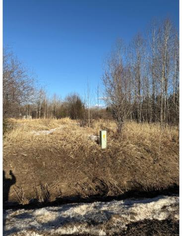 Tbd Holland Drive Aurora MN 55705