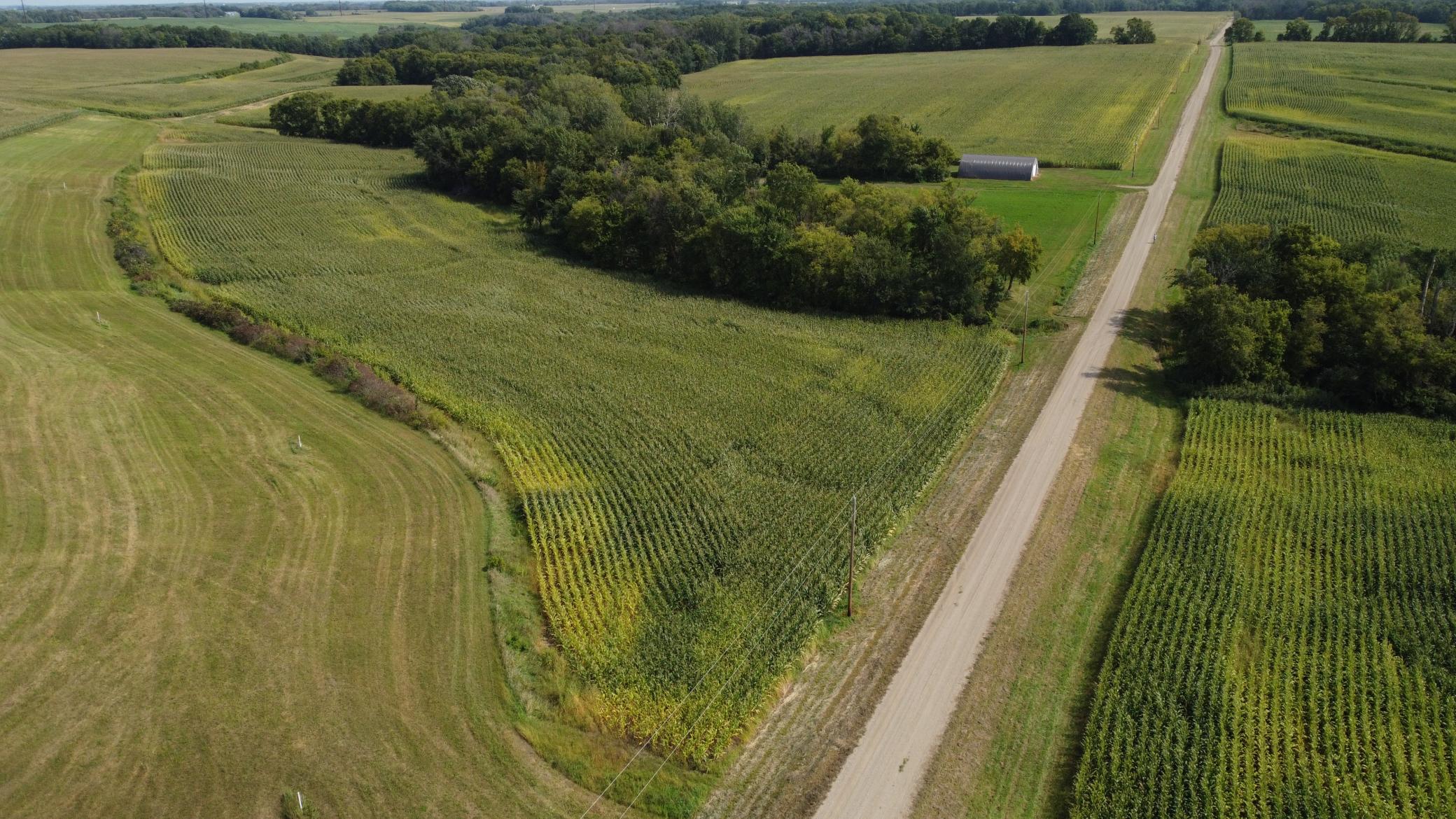 Tbd 216th Lane Faxon Twp MN 56044