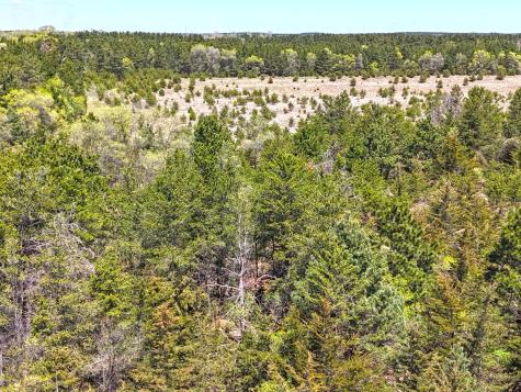 Tbd Pine Road NW Rice MN 56367