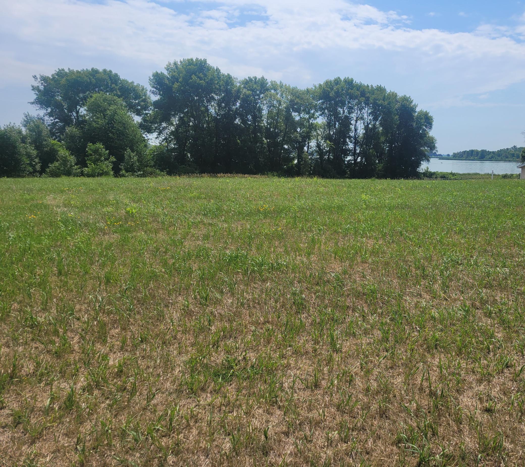 Tbd 2nd St SE Geneva MN 56035