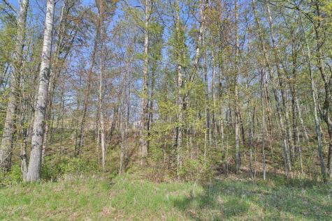 Lots 5, 6, 7 Terminal Road Breezy Point MN 56472