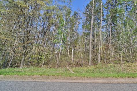 Lots 5, 6, 7 Terminal Road Breezy Point MN 56472
