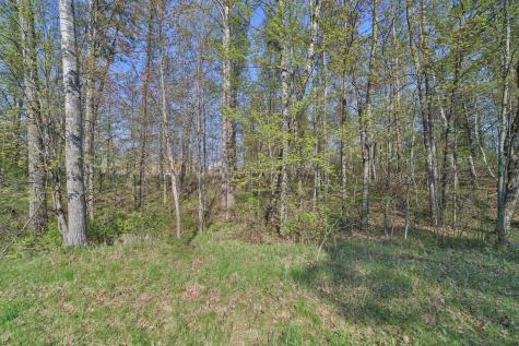 Lots 5, 6, 7 Terminal Road Breezy Point MN 56472