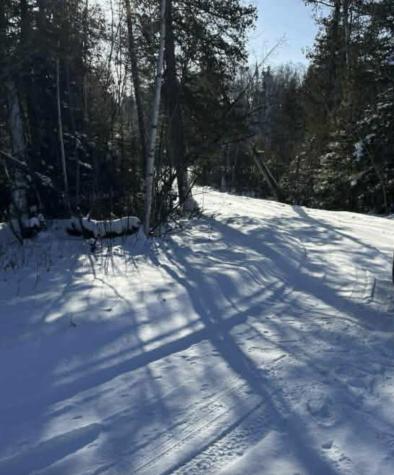 9426 Cramer Road Finland MN 55603