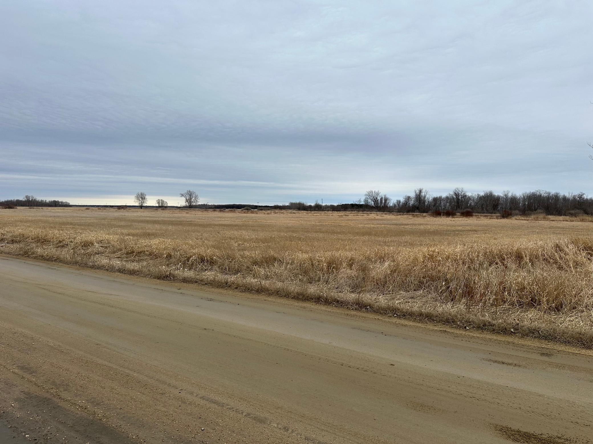 Tbd State Highway 11 Greenbush MN 56726
