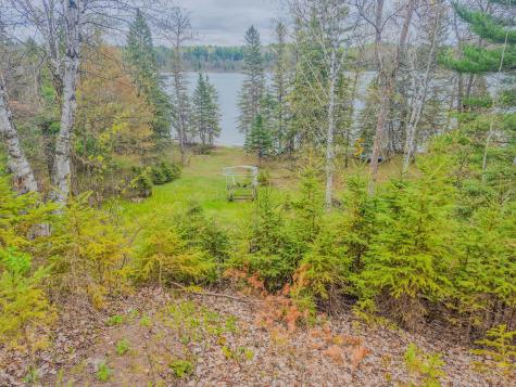 5304 Scenic Lake Drive Akeley MN 56433