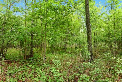 Xxx Maplewood Drive East Gull Lake MN 56401