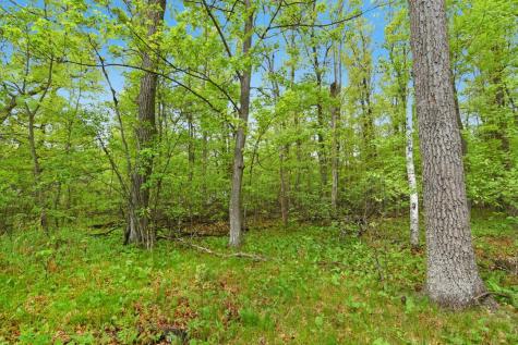 Xxx Maplewood Drive East Gull Lake MN 56401