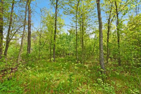 Xxx Maplewood Drive East Gull Lake MN 56401