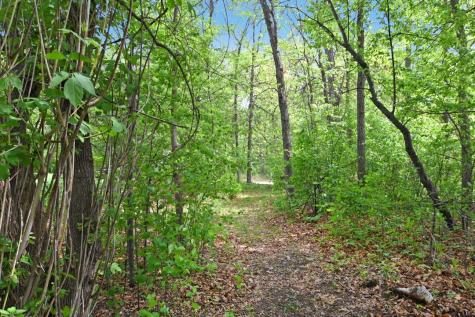 Xxx Maplewood Drive East Gull Lake MN 56401