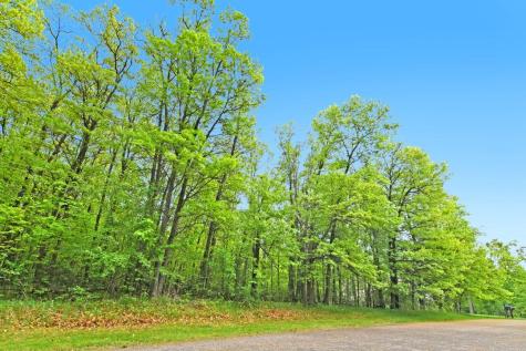 Xxx Maplewood Drive East Gull Lake MN 56401