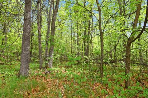 Xxx Maplewood Drive East Gull Lake MN 56401
