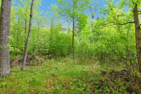 Xxx Maplewood Drive East Gull Lake MN 56401