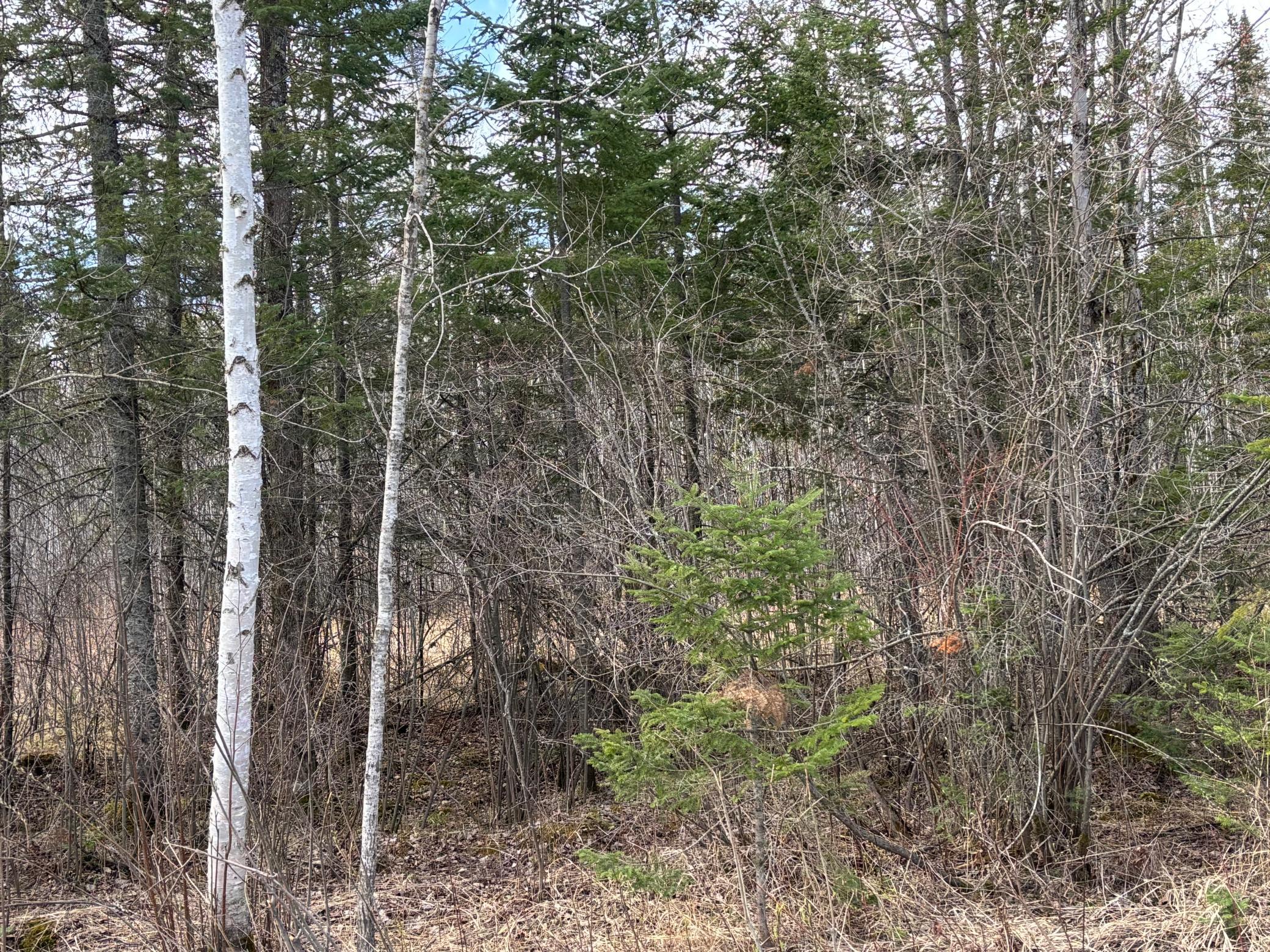 5358 E Four Corners Road Cromwell MN 55726