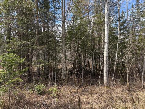 5358 E Four Corners Road Cromwell MN 55726