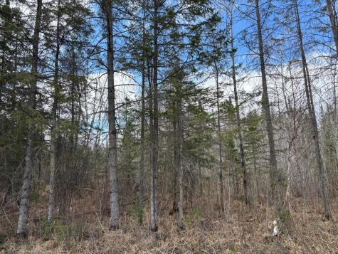 5358 E Four Corners Road Cromwell MN 55726