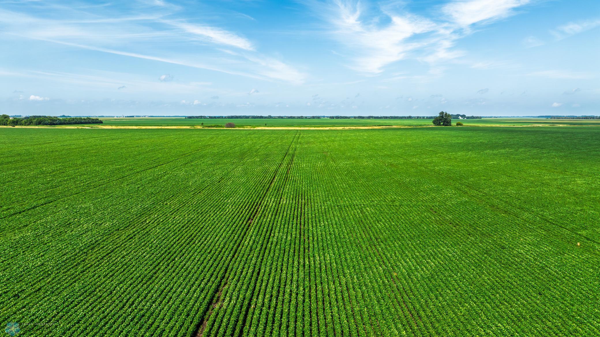 Tbd County Road 1 Barney ND 58061