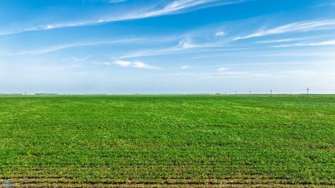 Tbd County Road 1 Barney ND 58061