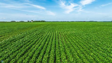 Tbd County Road 1 Barney ND 58061