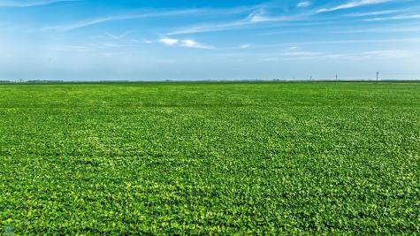 Tbd County Road 1 Barney ND 58061