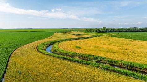 Tbd County Road 1 Barney ND 58061