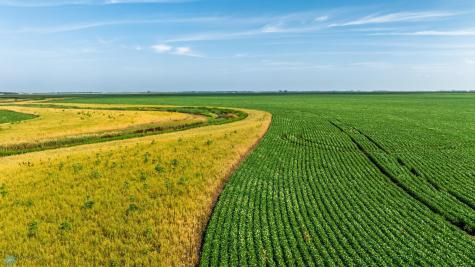 Tbd County Road 1 Barney ND 58061