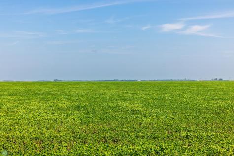 Tbd County Road 1 Barney ND 58061