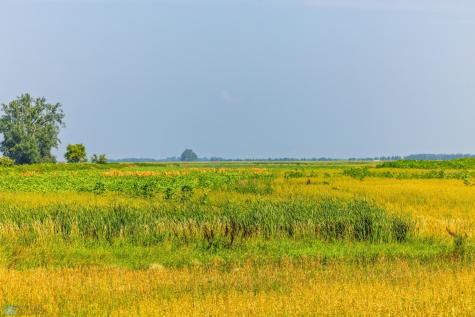 Tbd County Road 1 Barney ND 58061