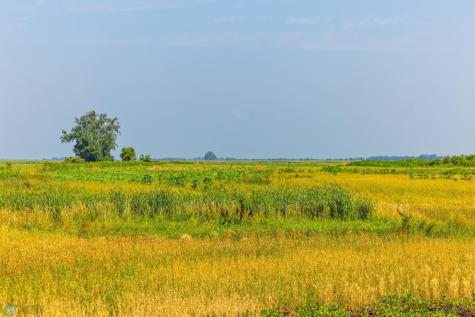 Tbd County Road 1 Barney ND 58061