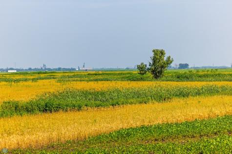 Tbd County Road 1 Barney ND 58061